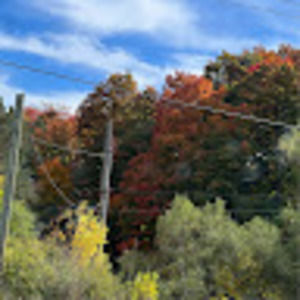 Meet your Posher, Afrah